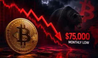 خمس أسباب وراء هبوط سعر البيتكوين إلى 75 ألف دولار… وهل تزداد الخسائر؟