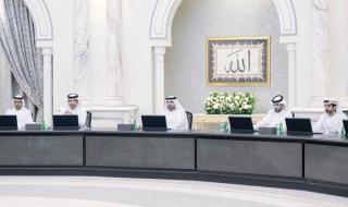 «تنفيذي الشارقة» يناقش تطوير وتعزيز المنظومة الحكومية