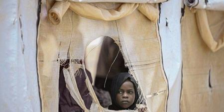 قتلى ومصابون بقصف للجيش السوداني في «النيل الأزرق»