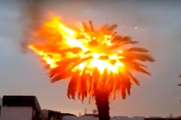 السعودية | شاهد.. “البرق” يضرب نخلة ويحولها إلى كتلة “نار” في المدينة