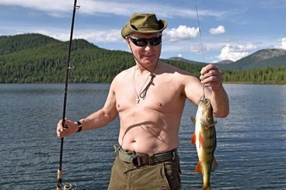 بوتين يقضي إجازته في سيبيريا.. ويطارد سمكة تحت الماء (صور)