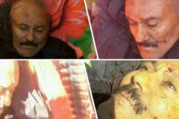 "سكاى نيوز": على عبد الله صالح تعرض لخيانة و20 سيارة لاحقته للقضاء عليه