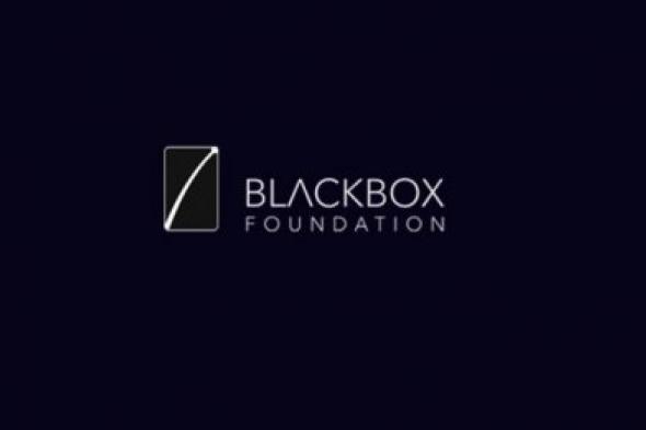 بلاك بوكس "BlackBox" ثورة في عالم إدارة الشركات والمشاريع بتكنولوجيا البلوكشين