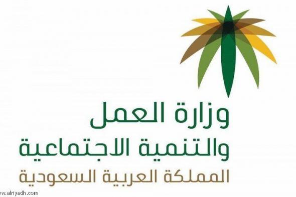السعودية | «العمل» تودع 74 مليون ريال في حسابات لجان أهلية العام الماضي