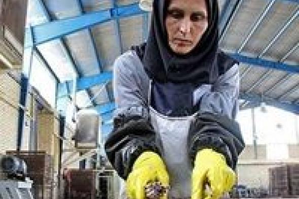 بالأرقام.. النساء "ضحية" البطالة في إيران