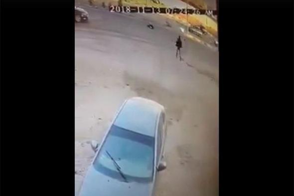 فيديو| حاول الهرب من الكلاب فدهسته سيارة في المعادي