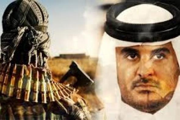 قطر تزعزع إستقرار المهرة اليمنية بالتقارير الكاذبة والأسلحة المهرة