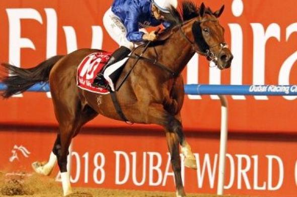 إعلان الخيول المرشحة للمشاركة في أمسية كأس دبي العالمي 2019