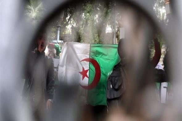 مظاهرات الجزائر: ماذا يحدث وراء الكواليس؟