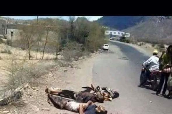 ورد الان : مجزرة مروعة للحوثيين في دمت و الجثث تملأ الطرقات ....شاهد صور