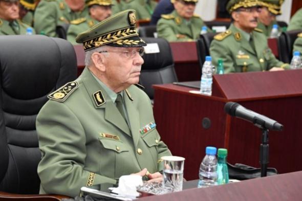 الجيش الجزائري يتخلى عن بوتفليقة.. رئيس الاركان يطالب بإعلان خلو منصب الرئاسة