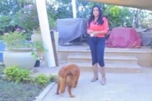 بالفيديو| رانيا يوسف مع حيواناتها المفضلة: "أحب الكلاب والأرانب"