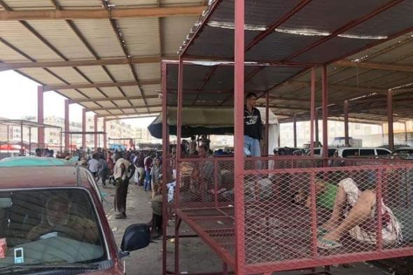 شاهد صورة : أسواق القات في عدن تتعرض لأزمة خانقة ..والسبب شلال علي شايع