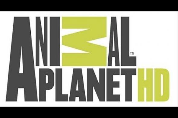 تردد قناة كوكب الحيوانات Animal Planet على الأقمار الصناعية 2019