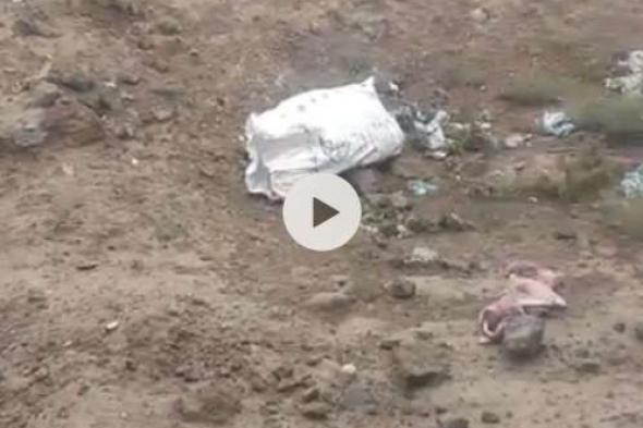 شاهد ماذا وجد أطفال يجمعون علب الماء الفارغة في أحد أحياء العاصمة صنعاء (فيديو)
