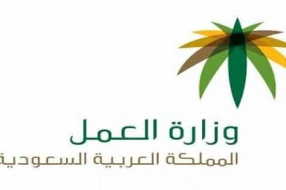 وزارة العمل السعودية تعلن عن قرارات جديدة بشأن العمل في القطاع الخاص يبدأ العمل بها من السبت القادم.. تعرف عليها الآن؟