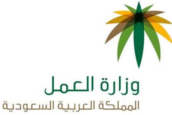 استعلام عن أقامة وافد عن طريق موقع وزارة العمل السعودية في إطار خطة الإصلاح الاقتصادي 2030