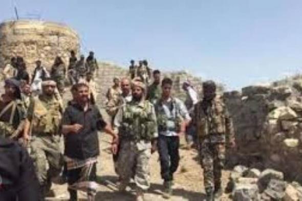 الضالع.. تقدم جديد للقوات المشتركة والمقاومة الجنوبية ومقتل 7 حوثيين 