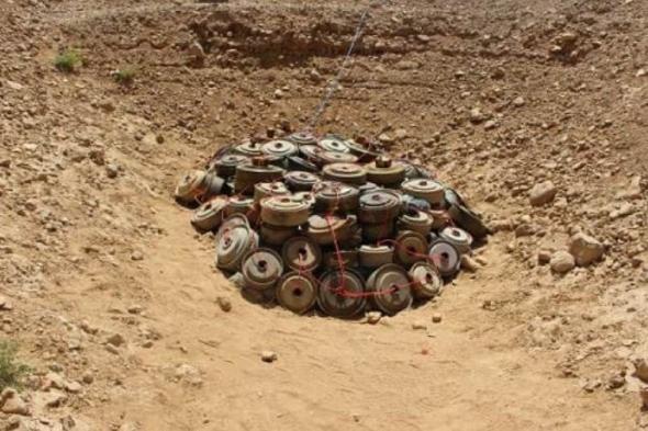 إتلاف 3 آلاف لغم حوثي زرعته المليشيات في محافظة تعز