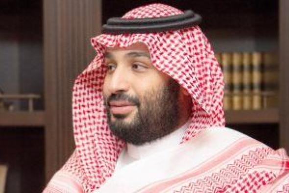 دبلوماسيون: العلاقة السعودية والإمارات ضاربة جذورها تاريخياً