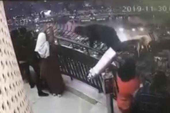 شاب مصري ينتحر برمي نفسه من ارتفاع 187 متر اعلى برج القاهرة.. فيديو