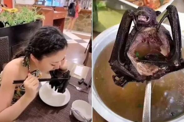 امرأة صينية تأكل خفاش!.. «ديلي ميل»: هذا قد يكون سبب انتشار «فيروس كورونا» الفتاك