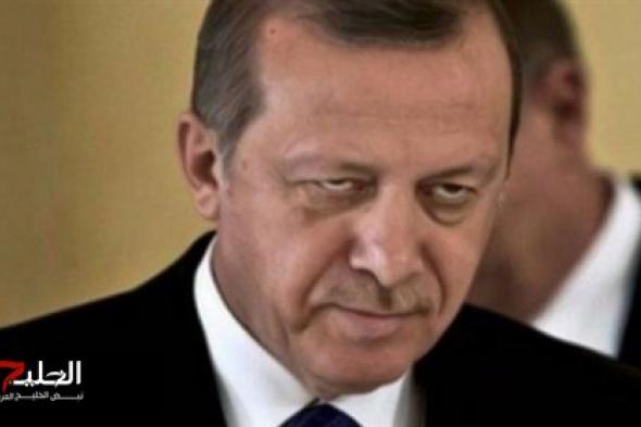 تقارير ودراسات دولية تكشف مساعى أردوغان لزعزعة  استقرار الشرق الأوسط وافريقيا