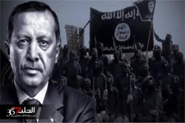 تقرير يكشف سر العلاقة بين أردوغان وتنظيم داعش الإرهابى.. فيديو