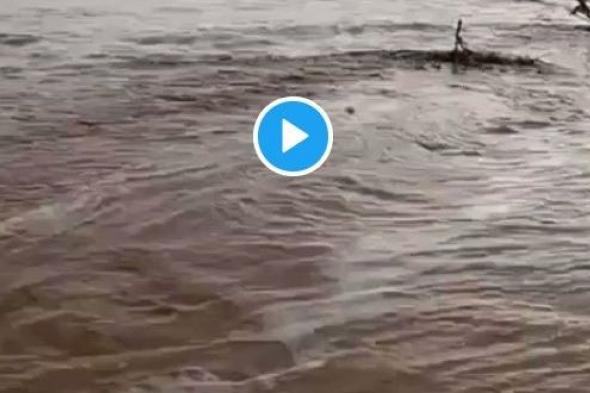 فيديو.. جريان السيول في رنية شرق الطائف