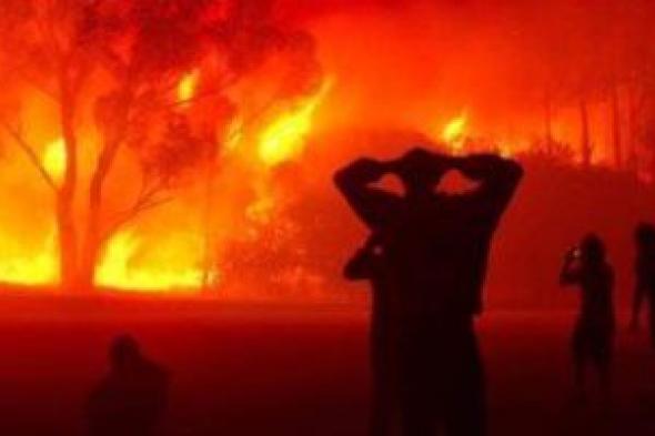 الجزائر.. الحرائق تقطع الكهرباء وتسبب تدهور بحالة مرضى كورونا الصحية