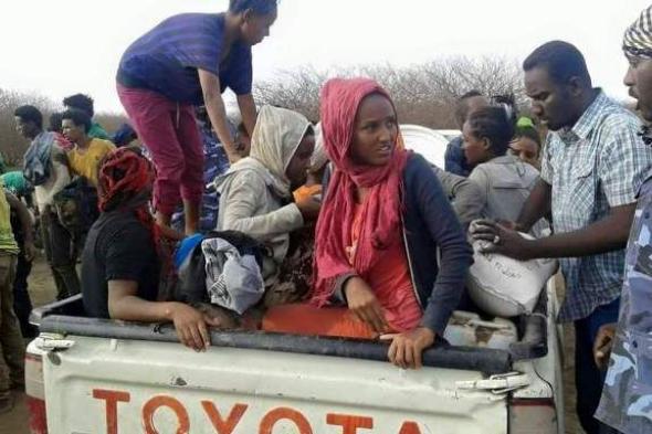 تزايد حوادث السير اوساط السودانيين المهربين إلى مصر