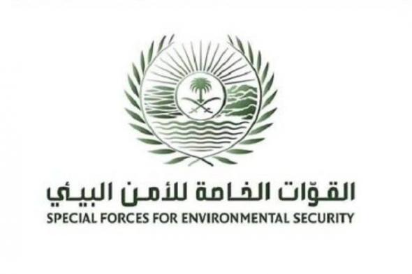 السعودية | القوات الخاصة للأمن البيئي تضبط مخالفًا لنظام البيئة لدخوله بمركبته في الفياض والروضات في محمية الملك عبدالعزيز الملكية بمنطقة الرياض