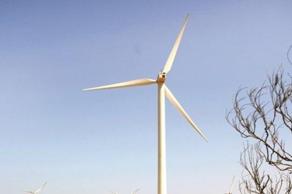 «مزارع الرياح».. عصا أفريقيا السحرية لتوليد الكهرباء