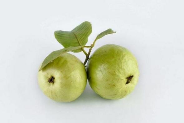 اكتشفي فوائد تناول مغلي أورق الجوافة.. أبرزها محاربة هذا المرض