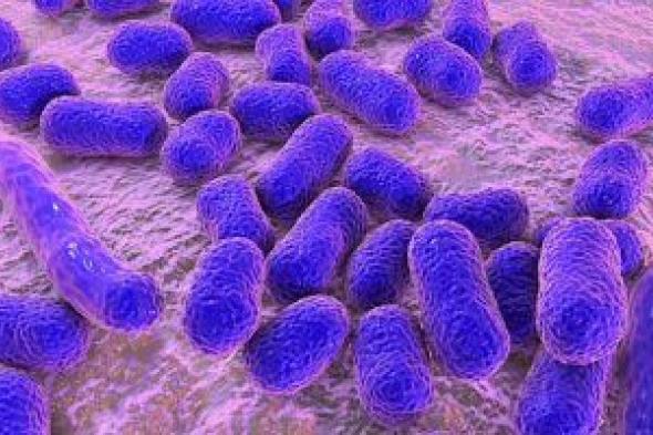 علماء يكتشفون نوع من المضادات الحيوية تقتل البكتيريا المقاومة للأدوية