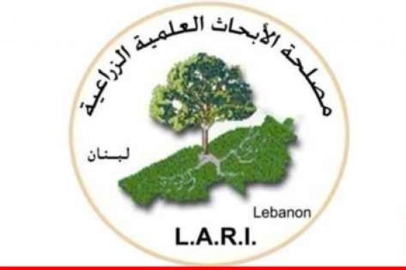 "​LARI​": لا داع للتهويل من أمطار طوفانية ومن منخفضات ستضرب لبنان لأنها تعابير غير علمية