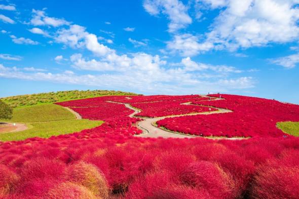 اليابان | المحافظة الأكثر جاذبية للعام الخامس عشر على التوالي في اليابان هوكايدو