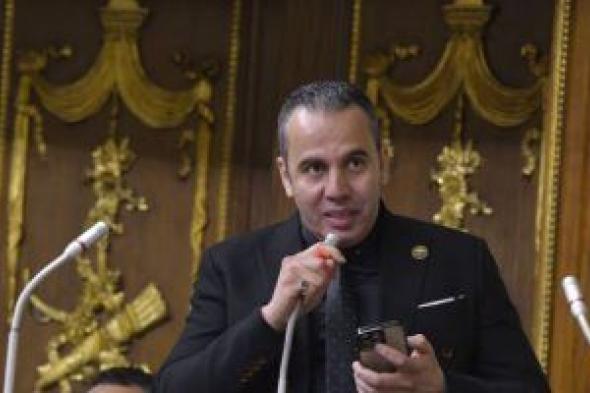 النائب محمد رضا البنا: لقاء الرئيس السيسي ووفد الكونجرس يعكس مكانة مصر الإقليمية