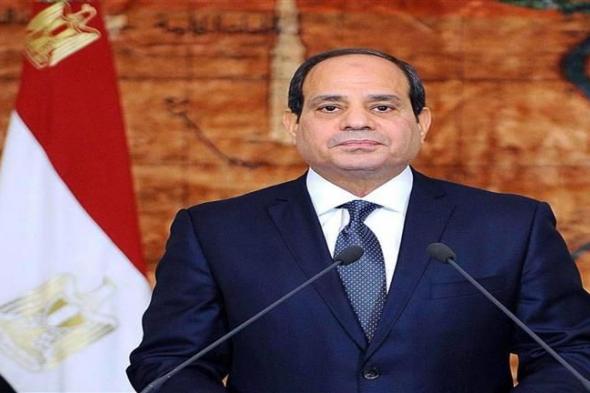 الرئيس السيسي يستقبل أمين عام جامعة الدول العربية