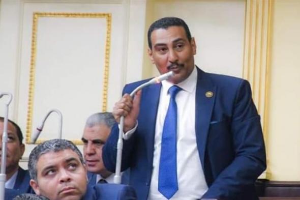 برلماني: مصر ستظل الداعم الأول للقضية الفلسطينية