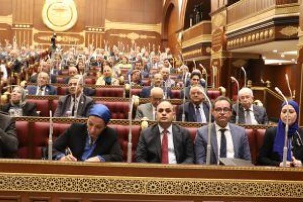 مجلس الشيوخ يرفض رفع الحصانة البرلمانية عن النائب أحمد قطب