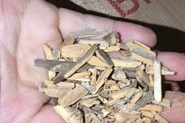 إغلاق موقعين لصناعة منتجات التبغ من نشارة الخشب بجدة