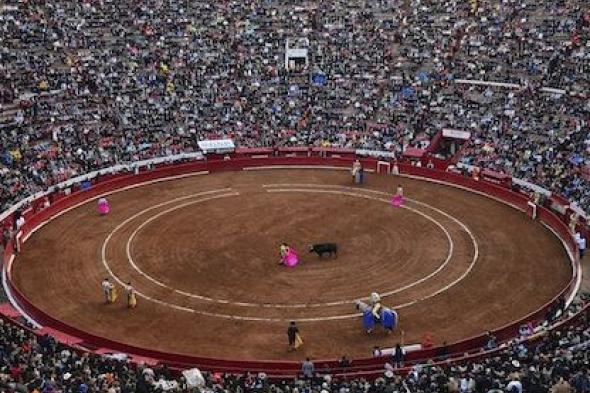 الامارات | بعد عام من حظرها.. عودة مصارعة الثيران في المكسيك