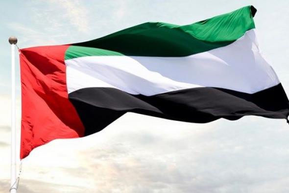 الإمارات: الاعتداءات على الملاحة بالبحر الأحمر تهديد غير مقبول