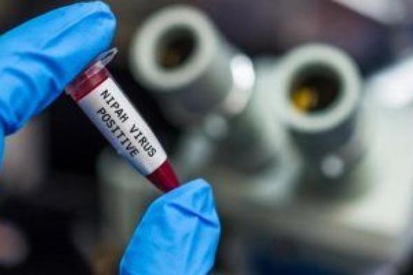 علماء بجامعة أكسفورد يختبرون أول لقاح في العالم لفيروس نيباه على غرار كورونا