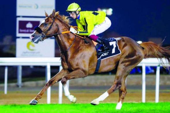 الامارات | رفع جوائز كأس رئيس الدولة للخيول إلى 4.5 ملايين درهم