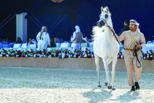 الامارات | ثنائية للمزروعي و«الصقران» في بطولة الظفرة للخيول العربية