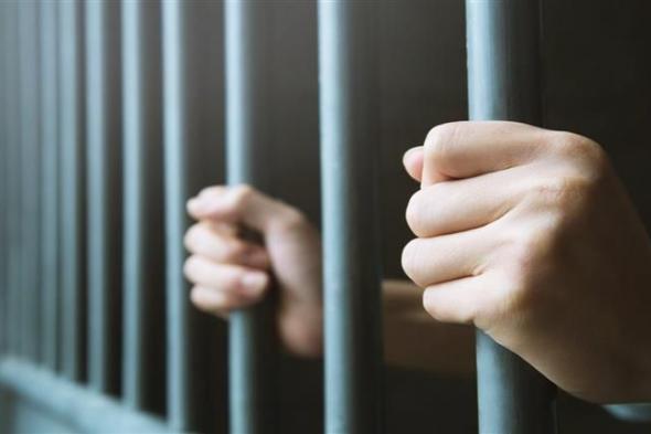 الجنايات تقضي بالسجن المشدد 5 سنوات لمتهم بقضية "أحداث كفر حكيم"