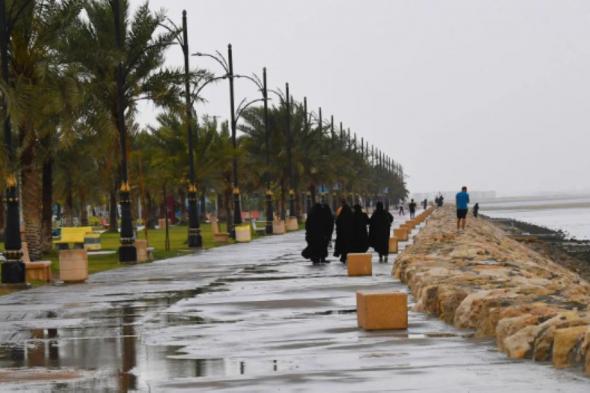 طقس السعودية اليوم.. الحرارة تواصل الانخفاض وأمطار وضباب بعدة مناطق