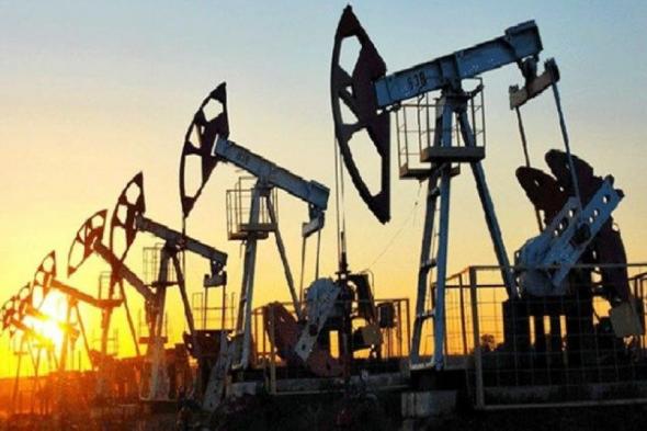 أسعار النفط.. العقود الآجلة لخام برنت ترتفع بنسبة 0.62%